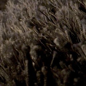 Meet your Posher, Shawn